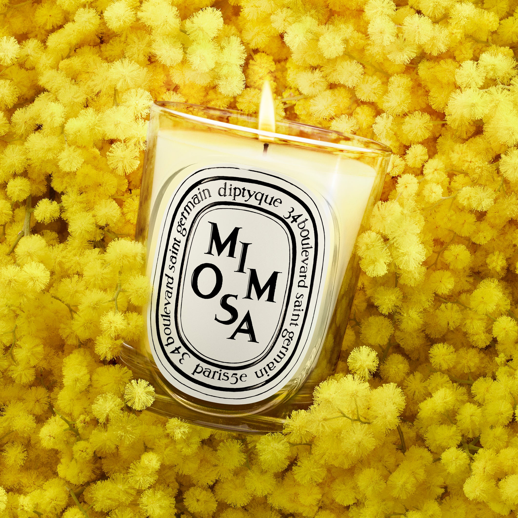 Mimosa - Classic Candle