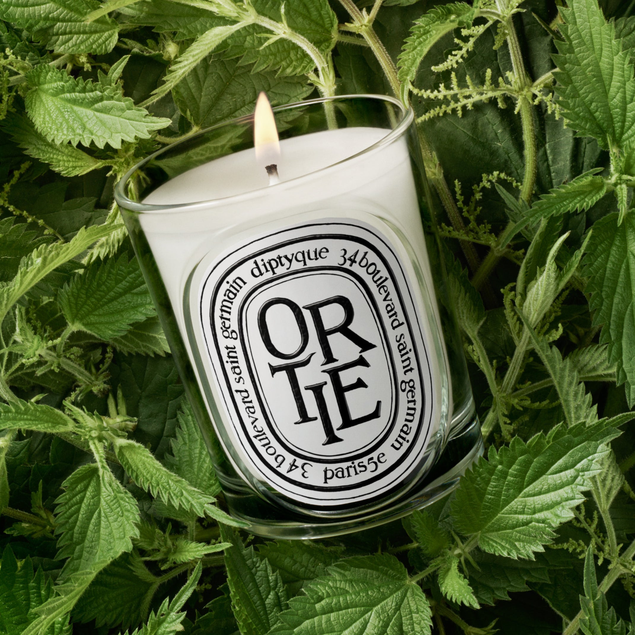 Ortie - Classic Candle