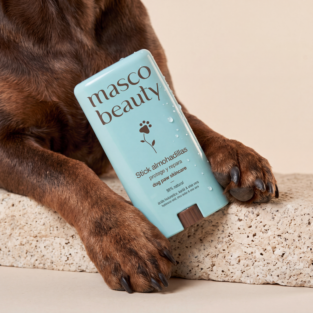 Dog Paw Balm Stick