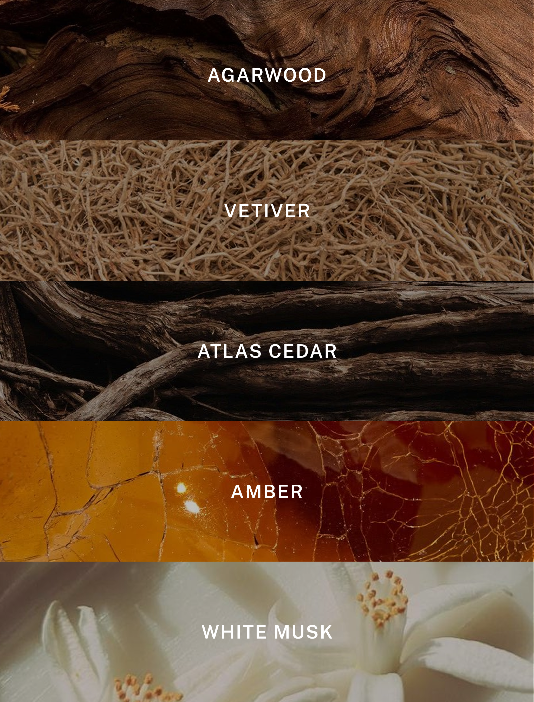 Signature - Luxury Soy Candle - 9.75 oz