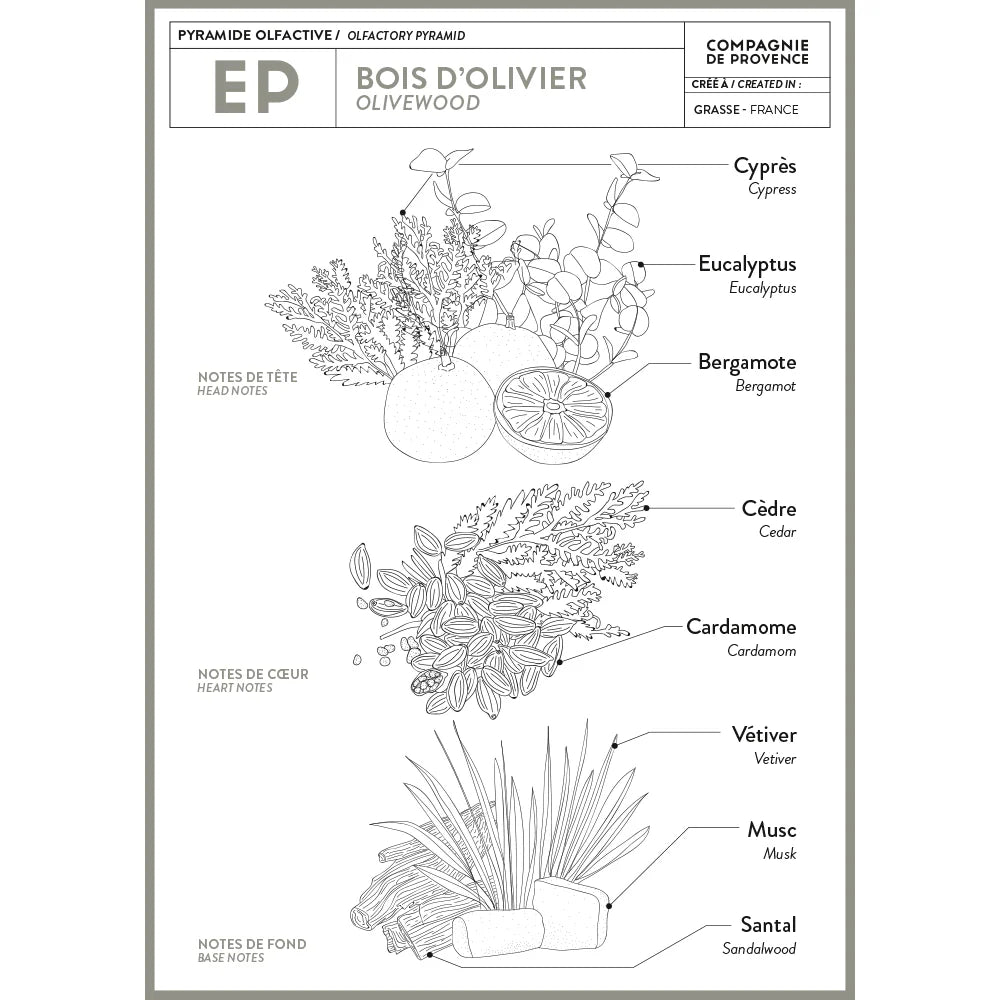 Liquid Marseille Soap - Olive Wood