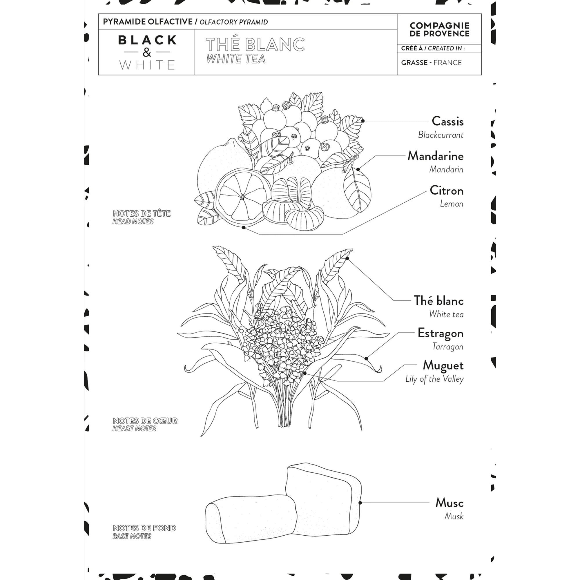 Hand Cream - White Tea