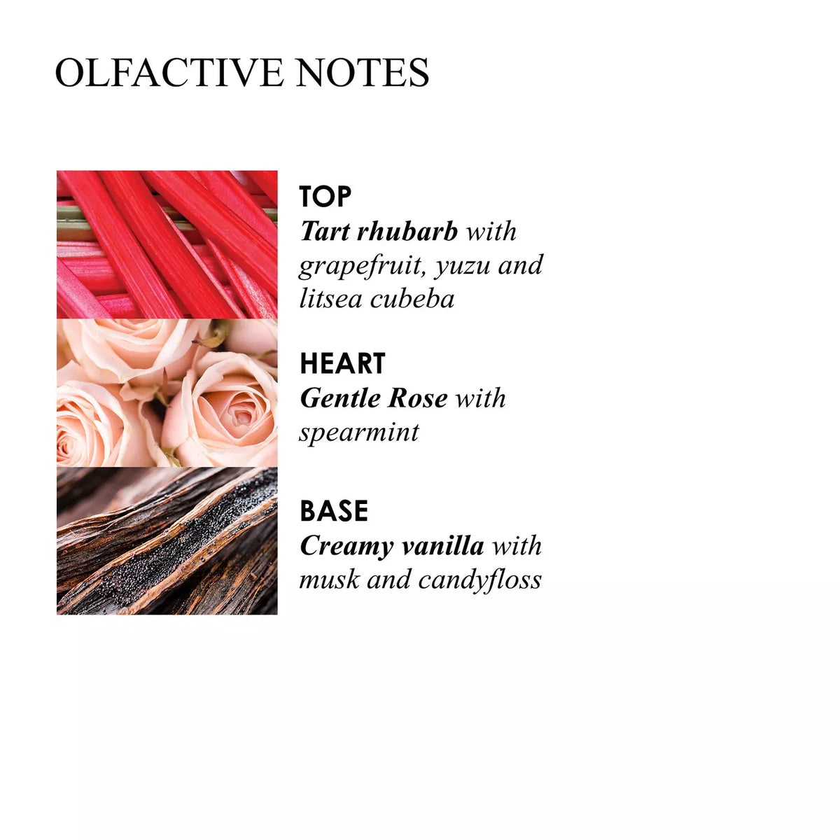 Delicious Rhubarb &amp; Rose Bath &amp; Shower Gel