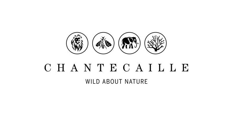 Makeovers & Facials With Chantecaille