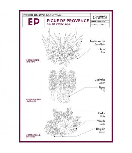 Liquid Marseille Soap - Fig of Provence