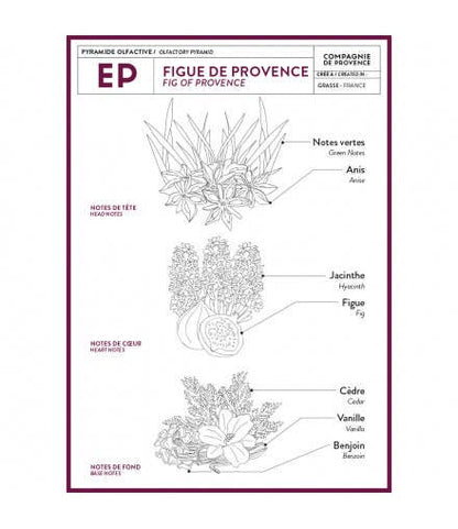 Liquid Marseille Soap - Fig of Provence
