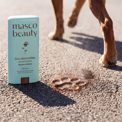 Dog Paw Balm Stick