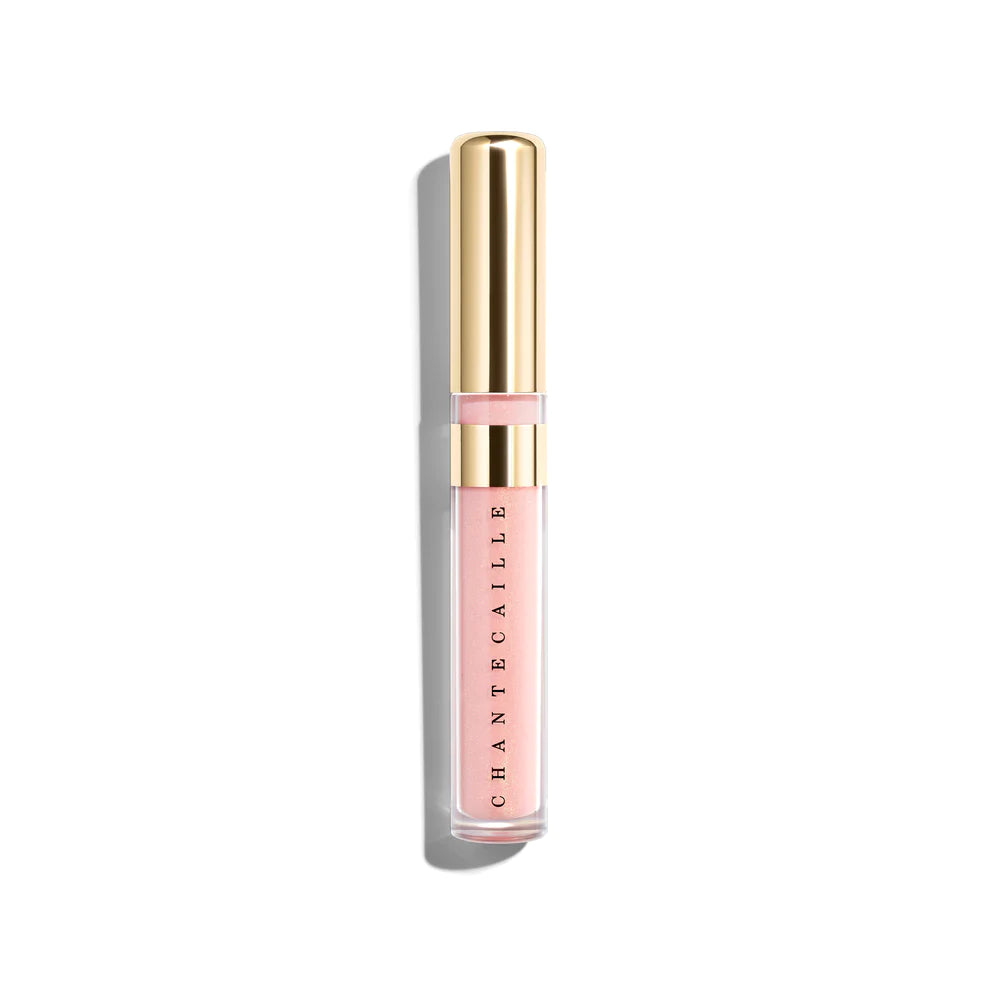 High Pigment Lip Gloss - POUT Cosmetics and Skin Studio