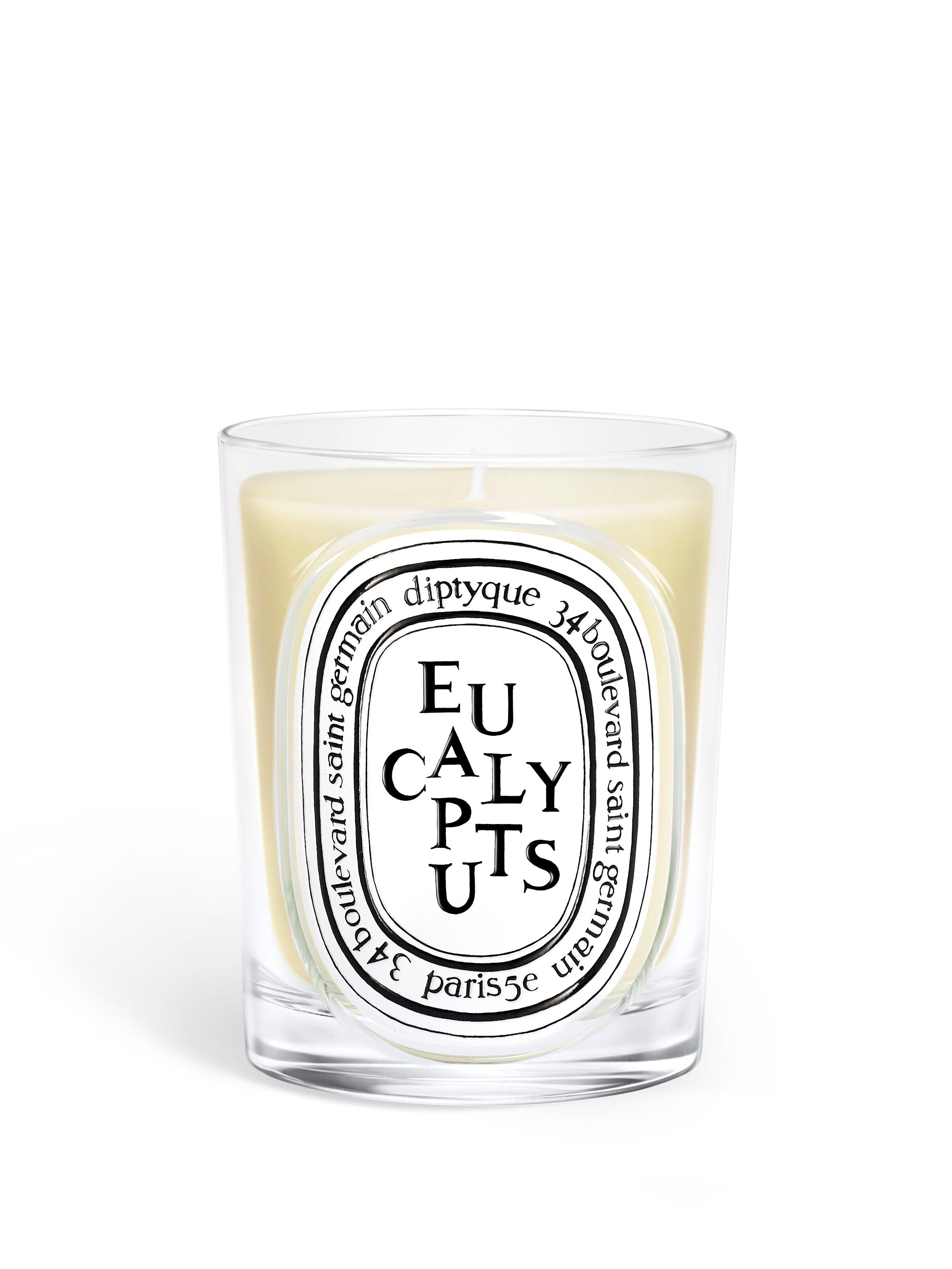 Eucalyptus - Classic Candle