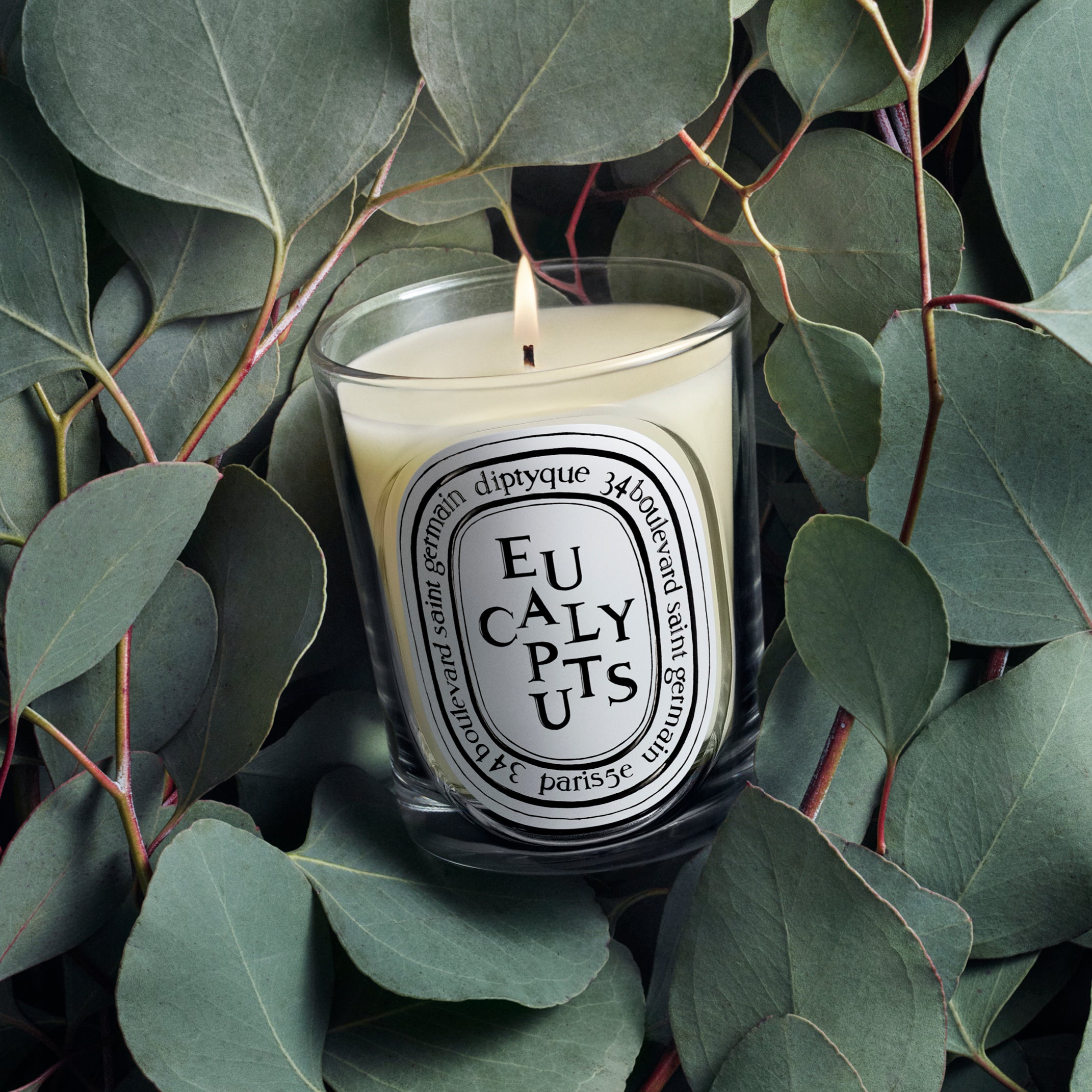 Eucalyptus - Classic Candle