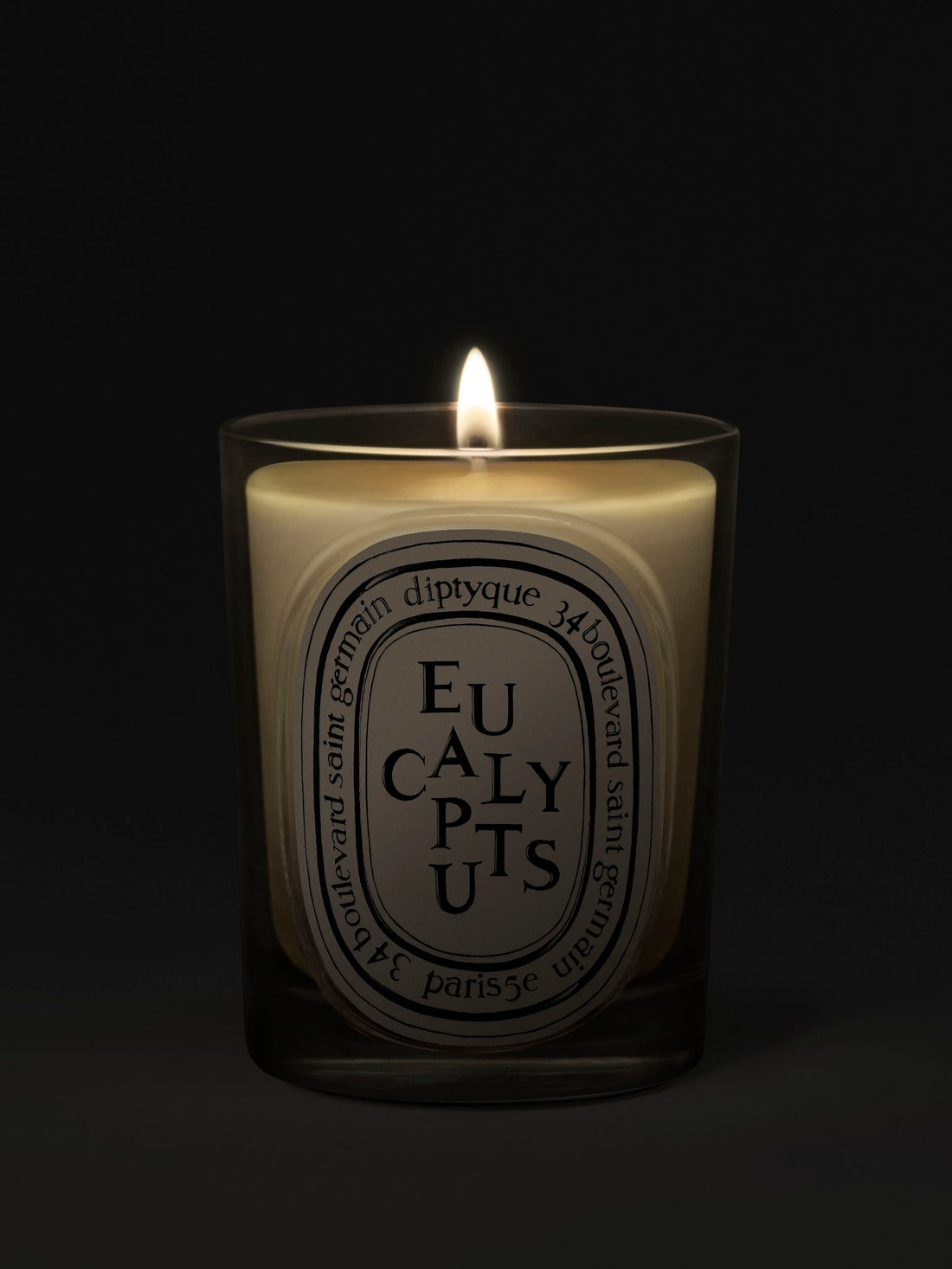 Eucalyptus - Classic Candle