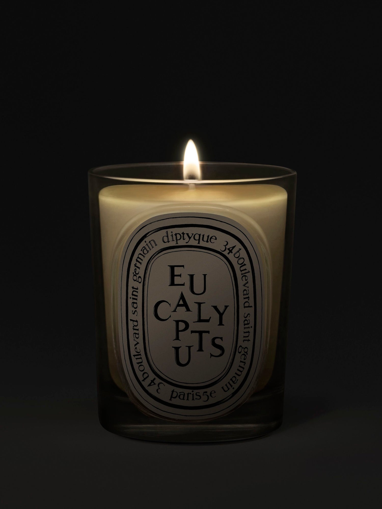 Eucalyptus - Classic Candle