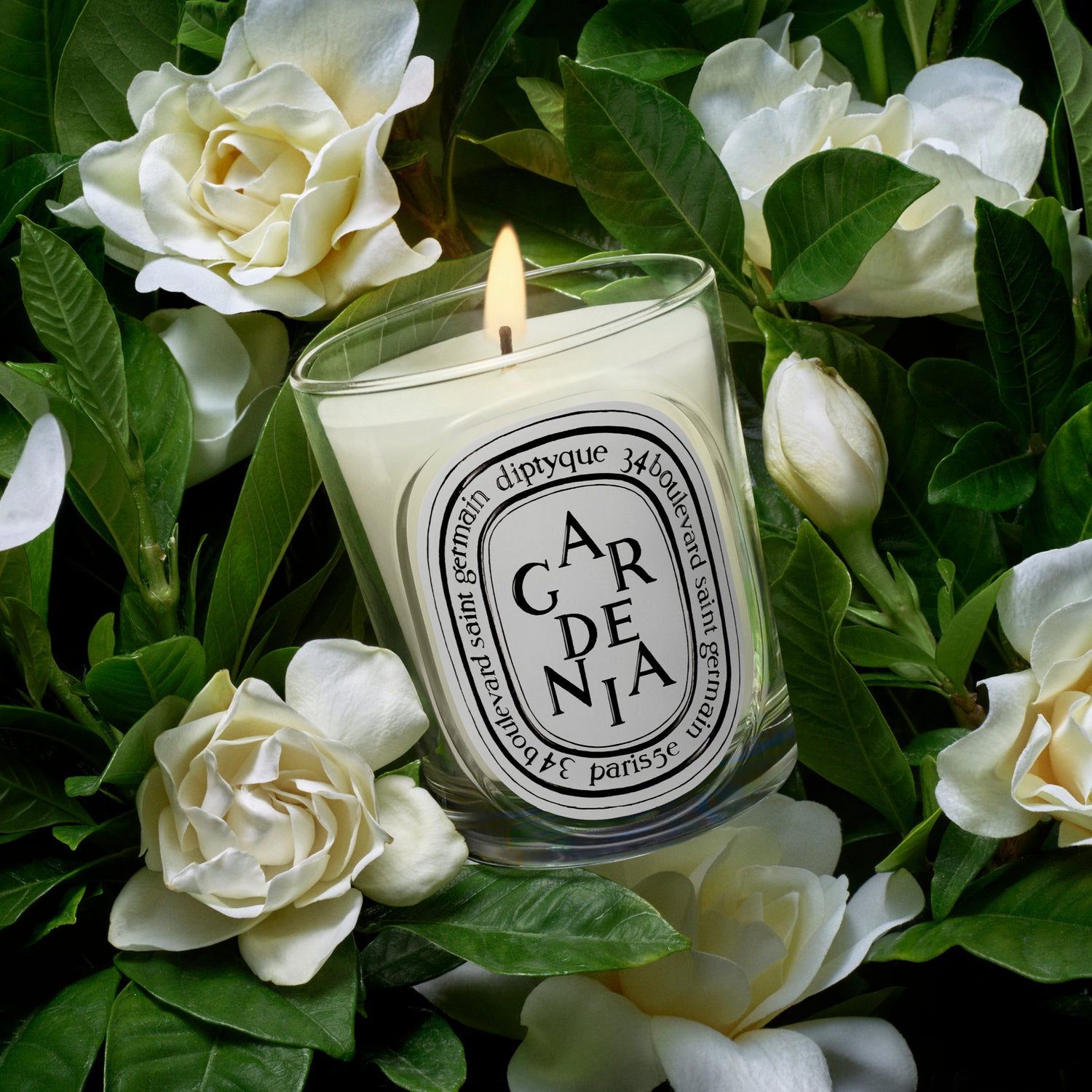 Gardenia - Classic Candle