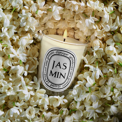 Jasmin - Classic Candle