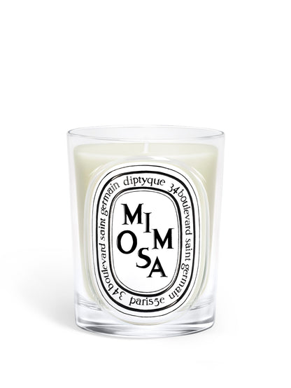Mimosa - Classic Candle