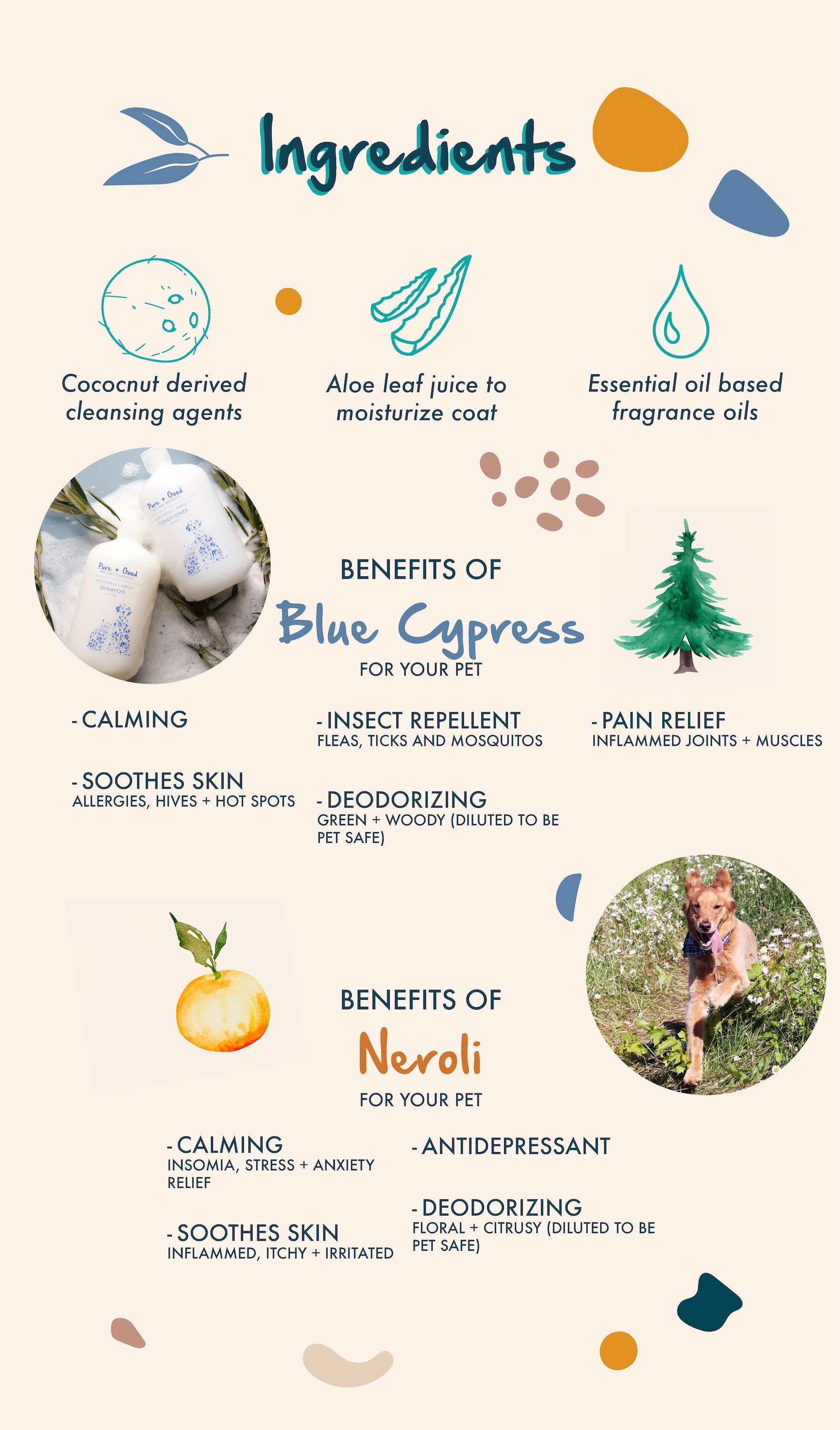 Dog &amp; Cat Shampoo: Blue Cypress + Neroli