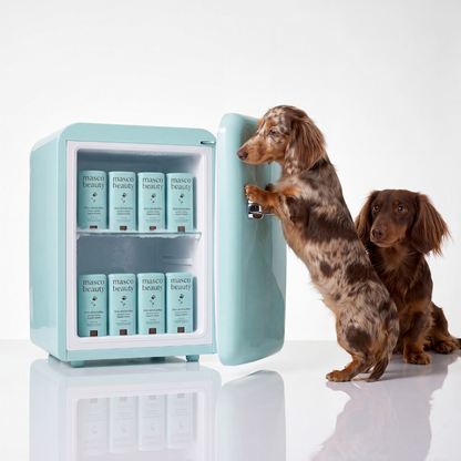 Dog Paw Balm Stick