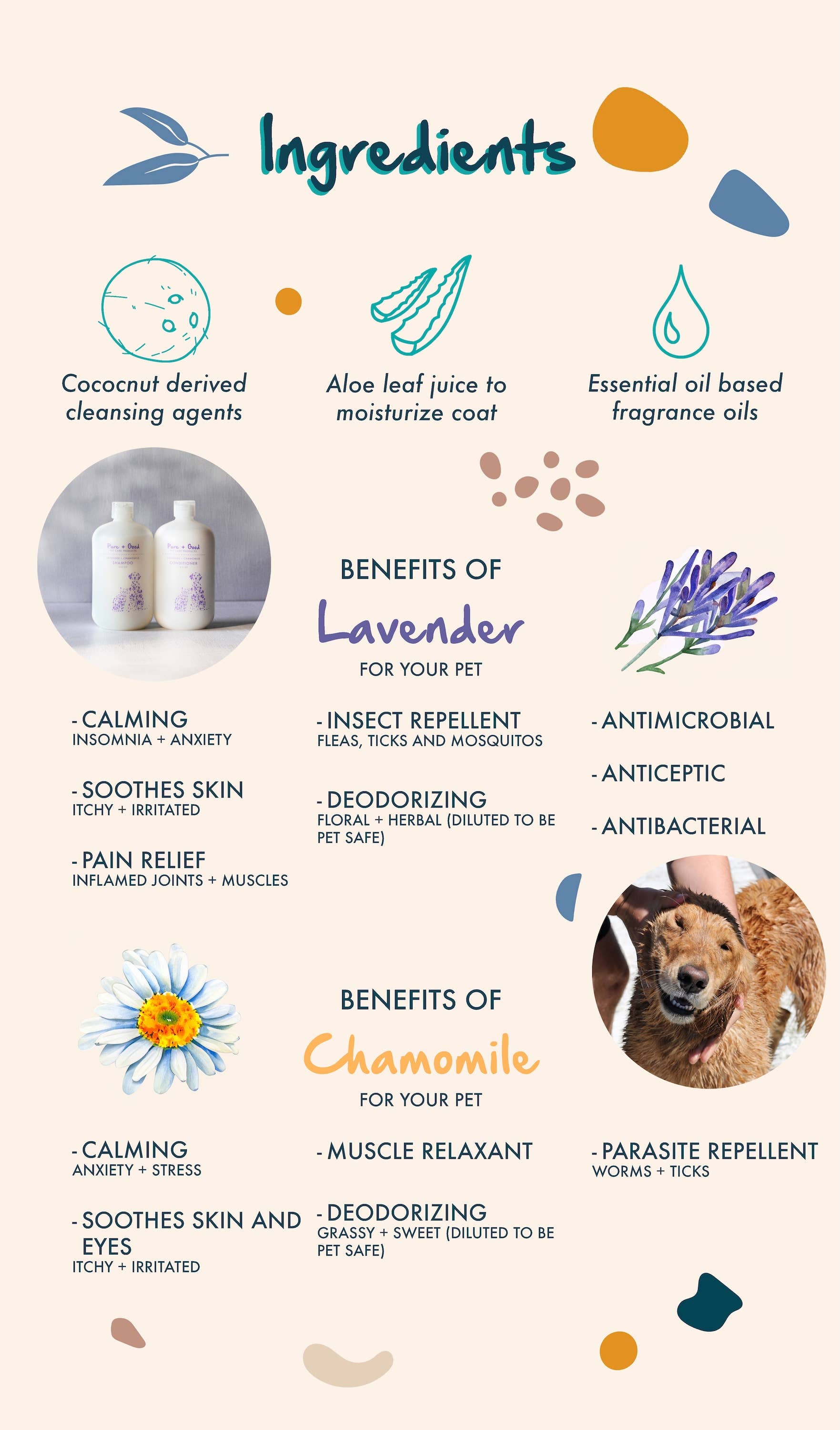 Dog &amp; Cat Shampoo: Lavender + Chamomile