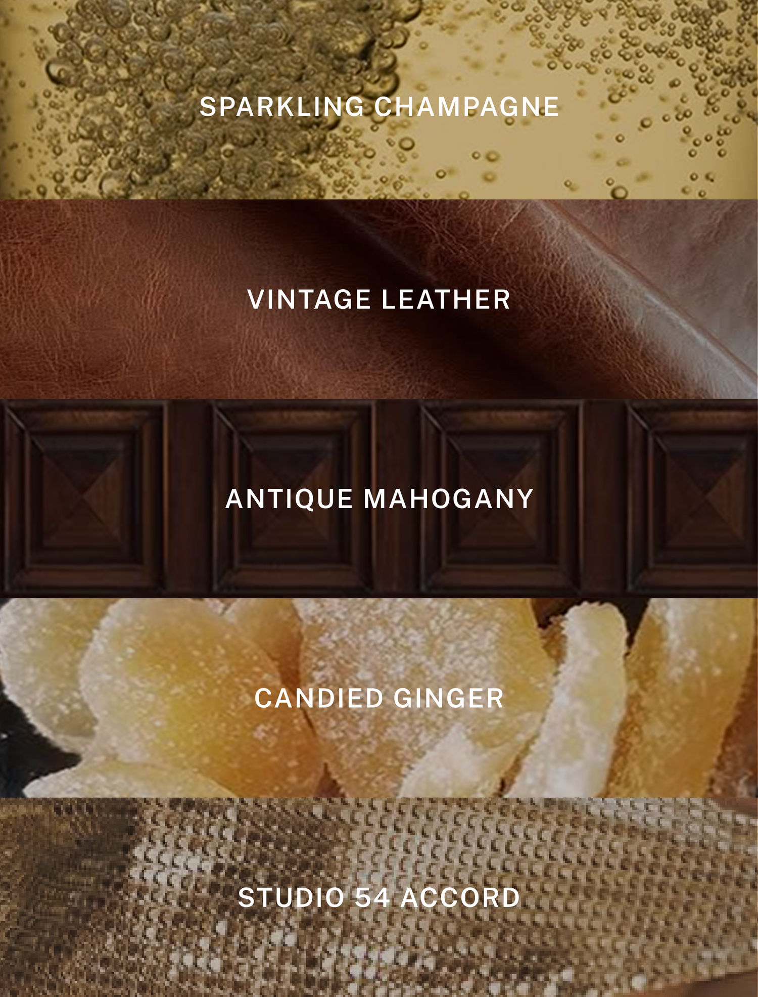 Blue Skies - Champagne Luxury Soy Candle - 9.75 oz