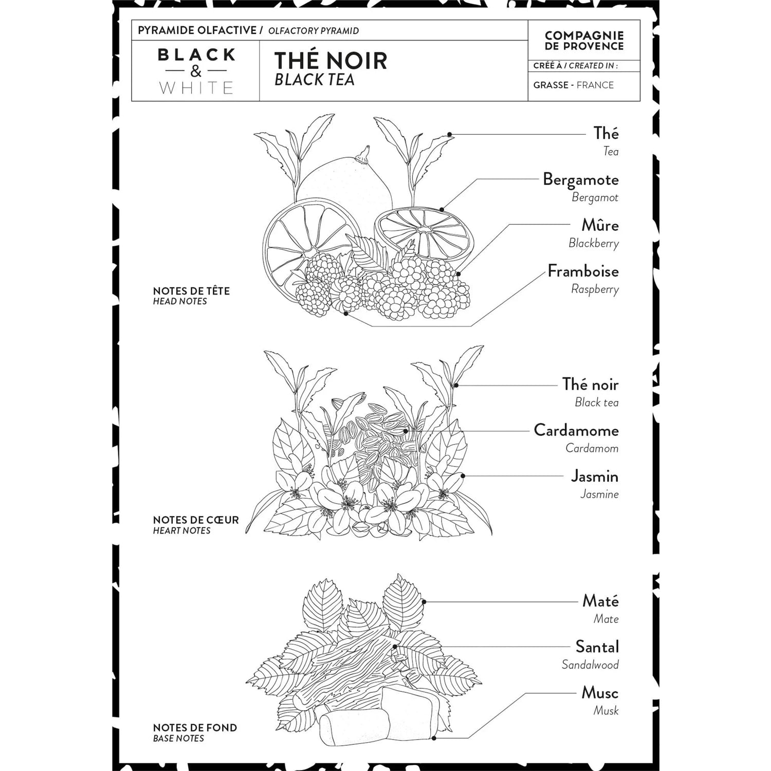 Liquid Marseille Soap - Black Tea