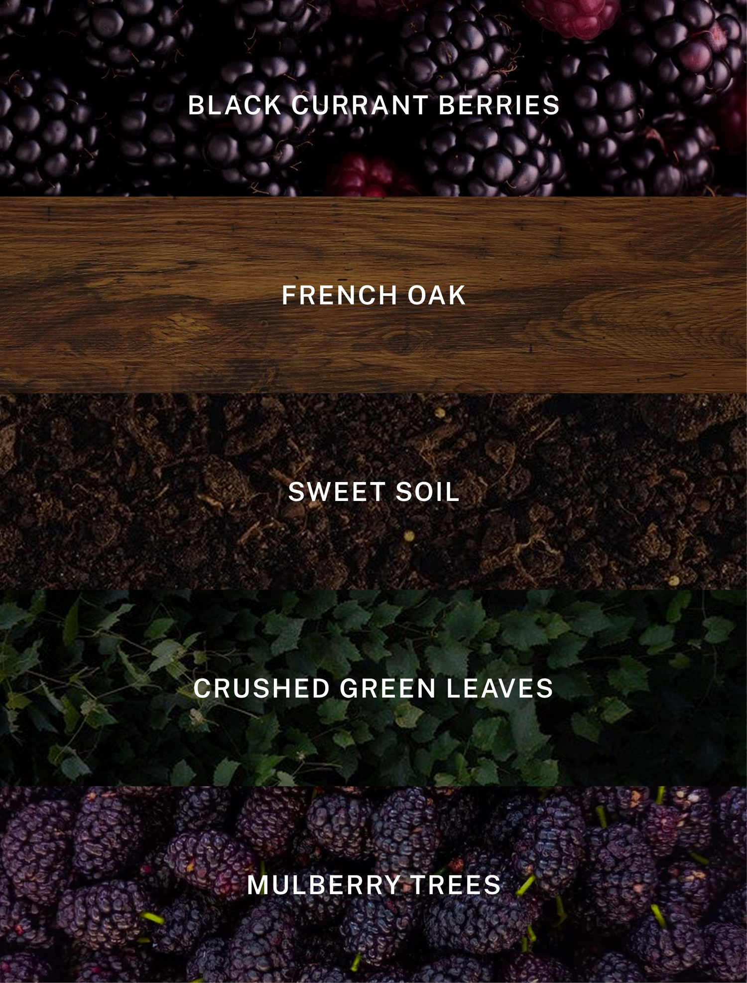 Napa Valley - Luxury Fall Scented Soy Candle - 9.75 oz