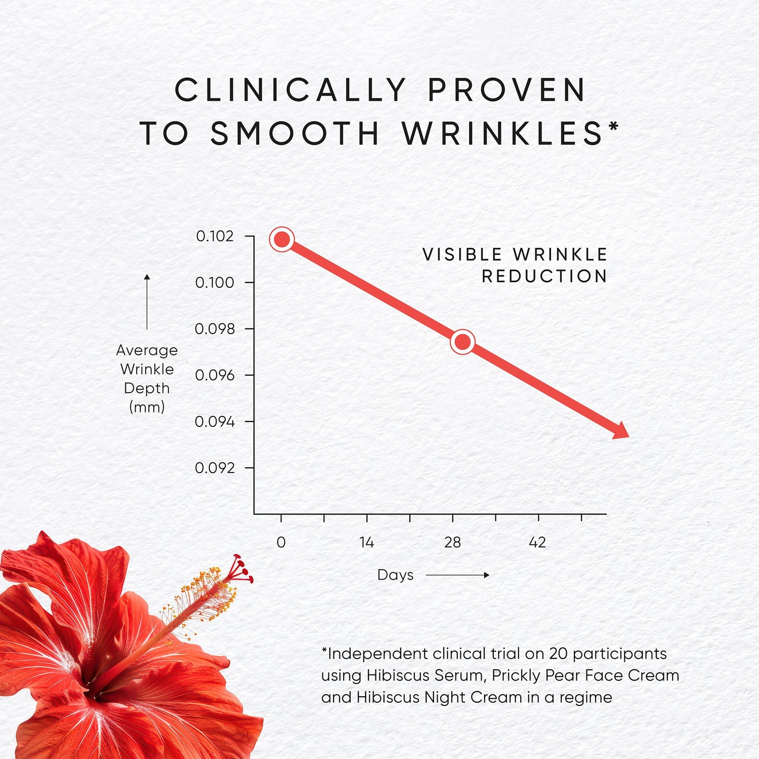 Hibiscus Serum