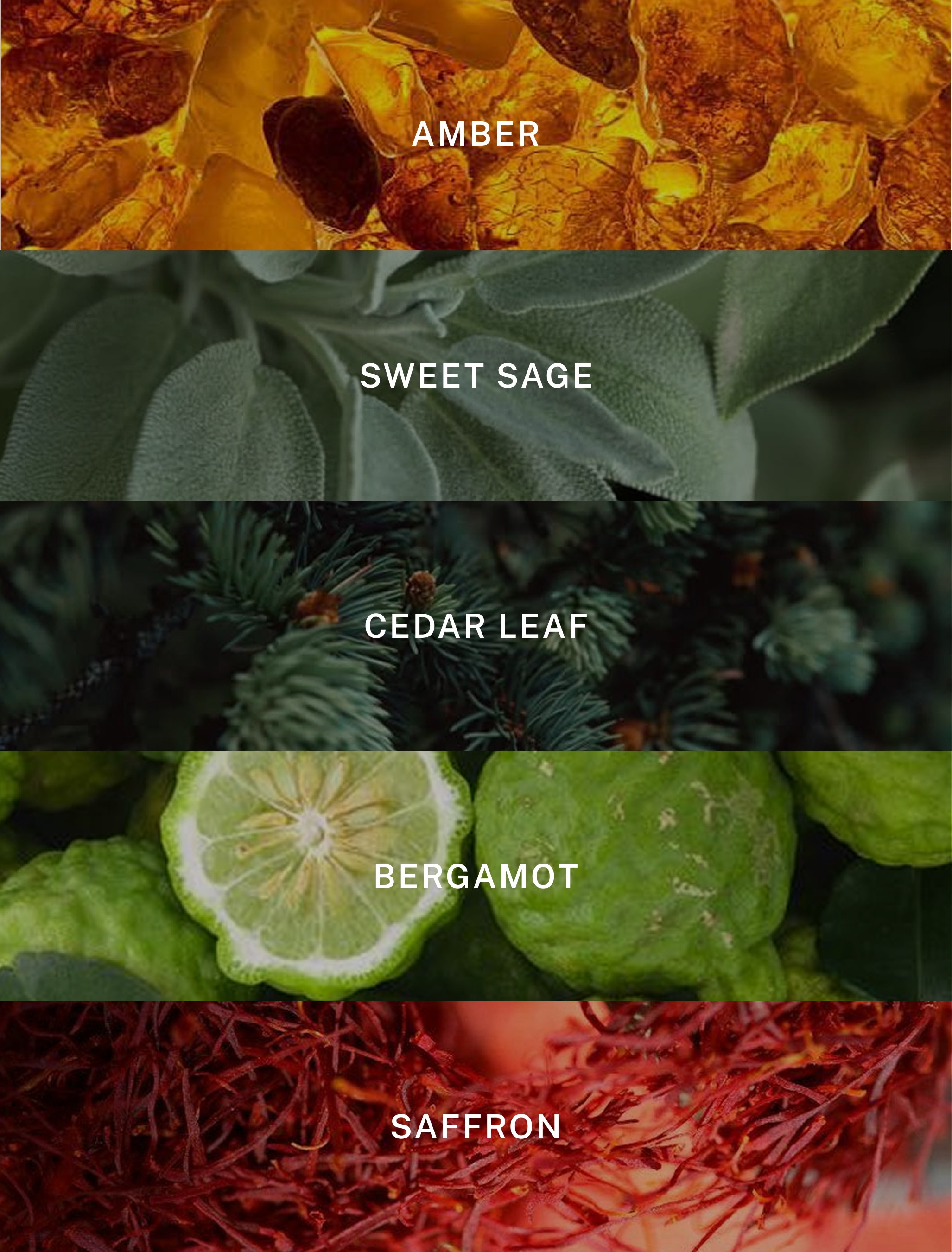 New York - Luxury Fall Scented Soy Candle - 9.75 oz