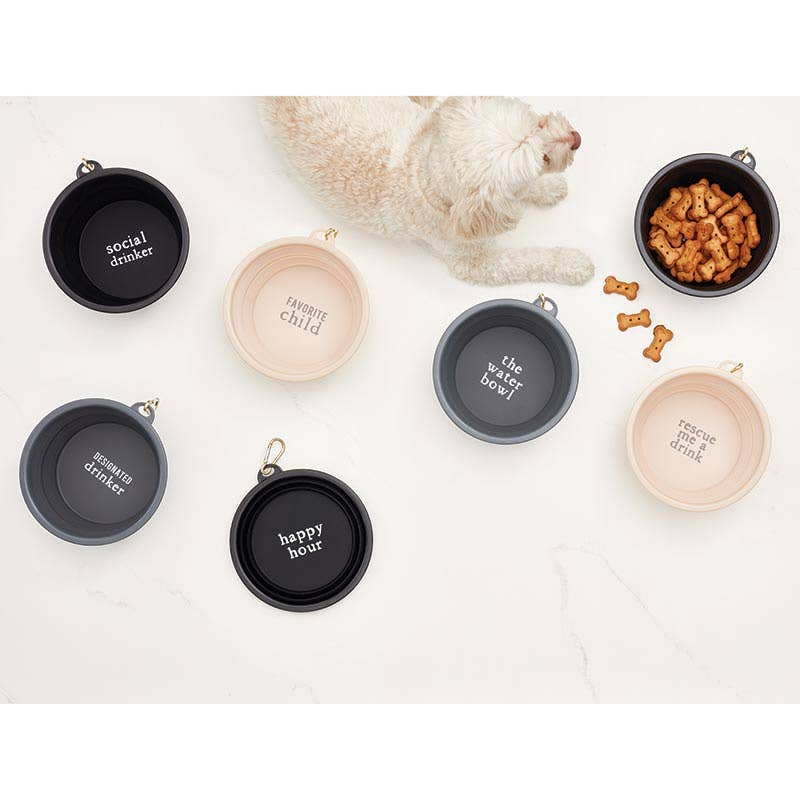 Large Collapsible Pet Bowl