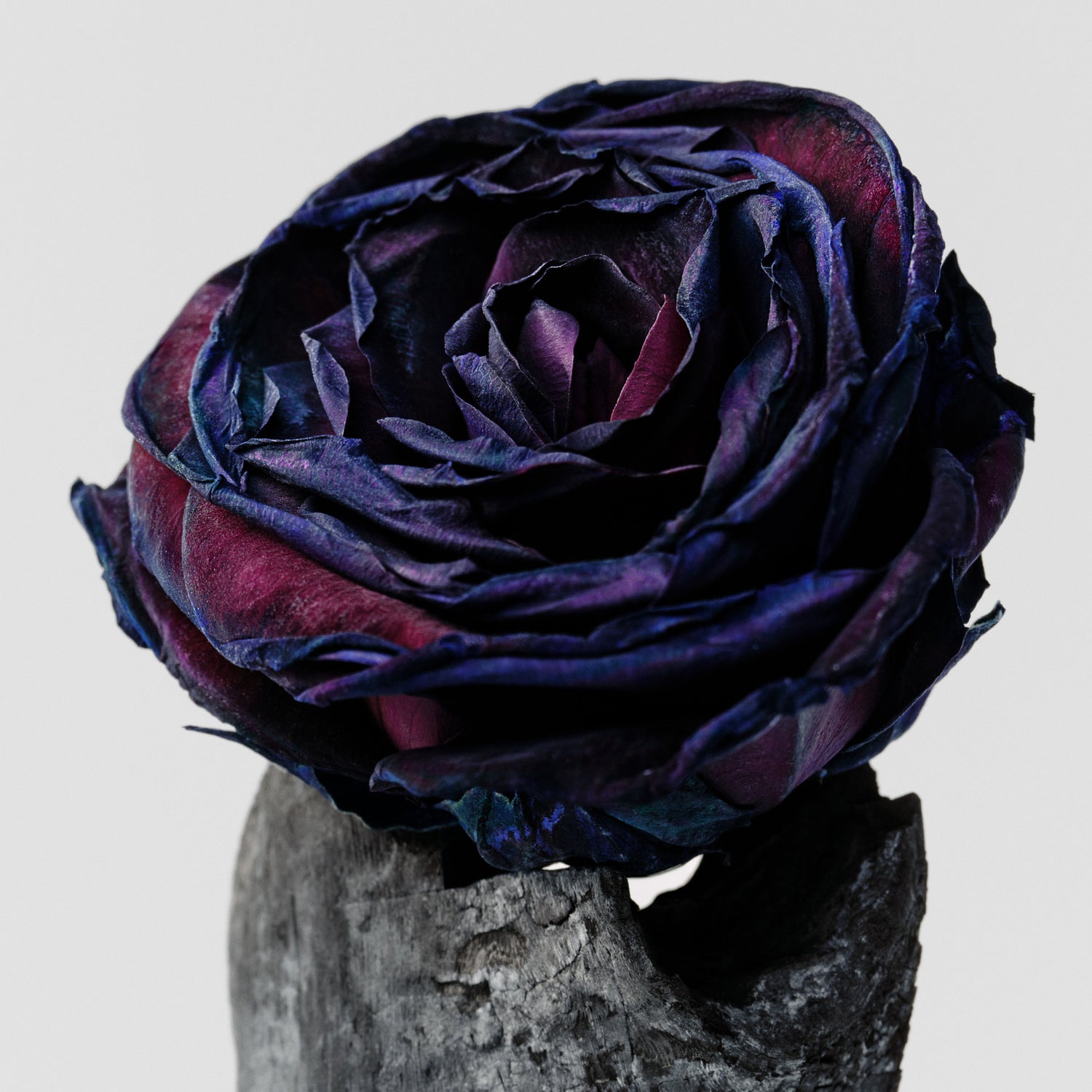 Black Rose &amp; Oud Body Mist