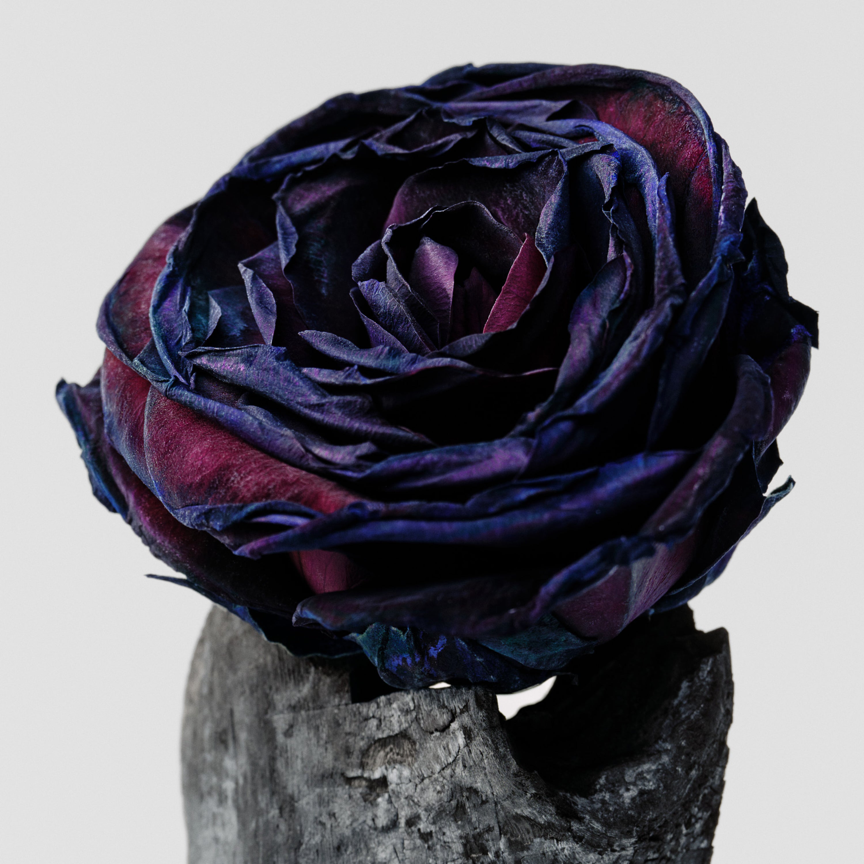 Black Rose &amp; Oud Body Mist