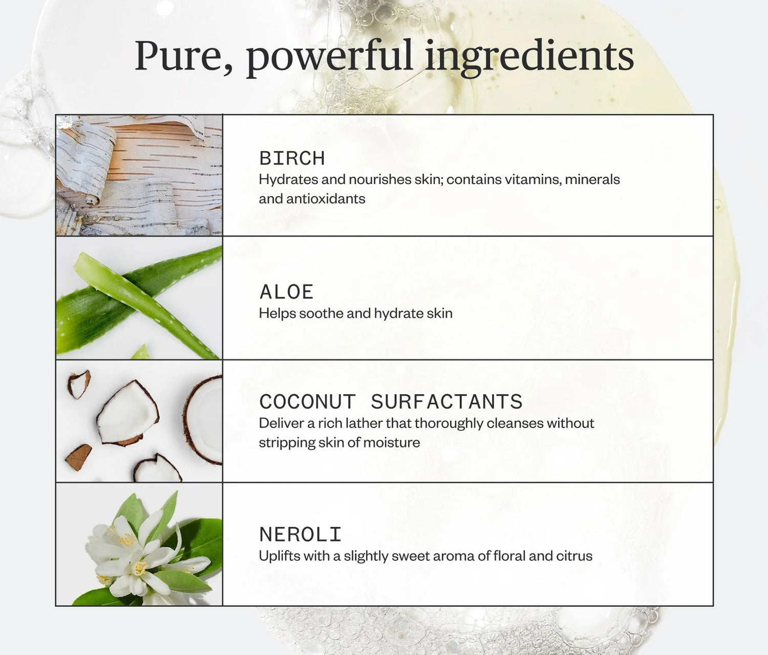 Botanic Buzz Hand Wash