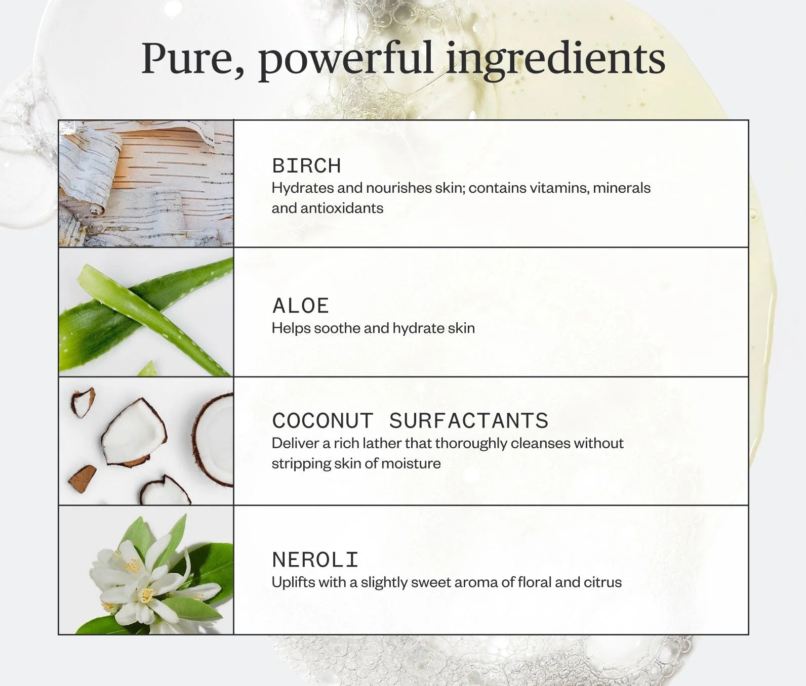 Botanic Buzz Hand Wash