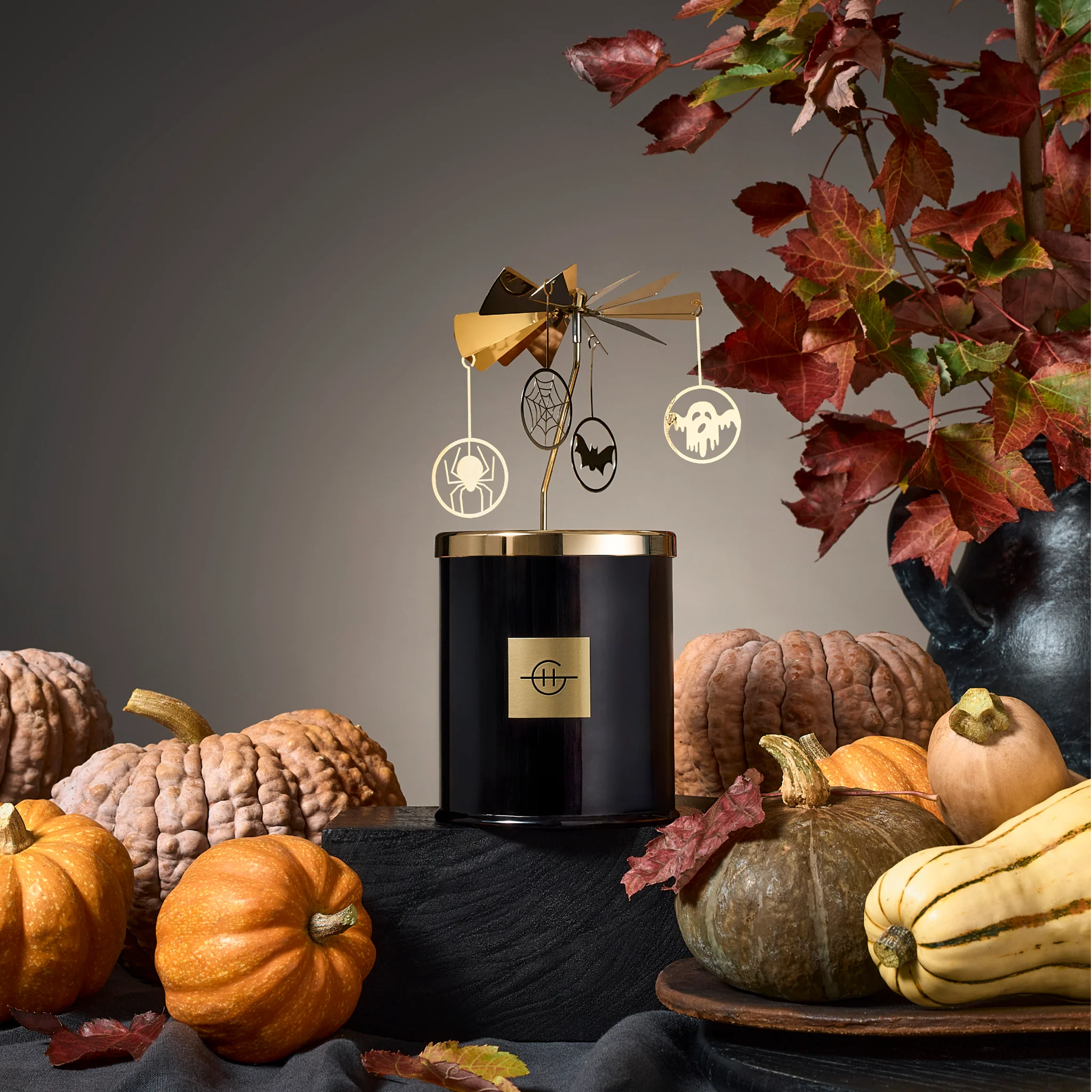 Spinning Carousel Accessory