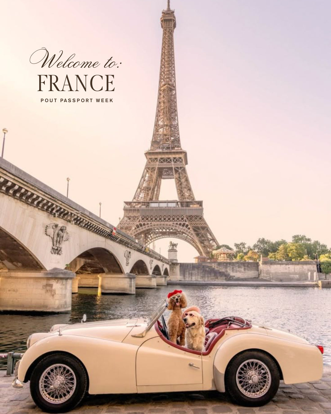 France - Stamp Collection