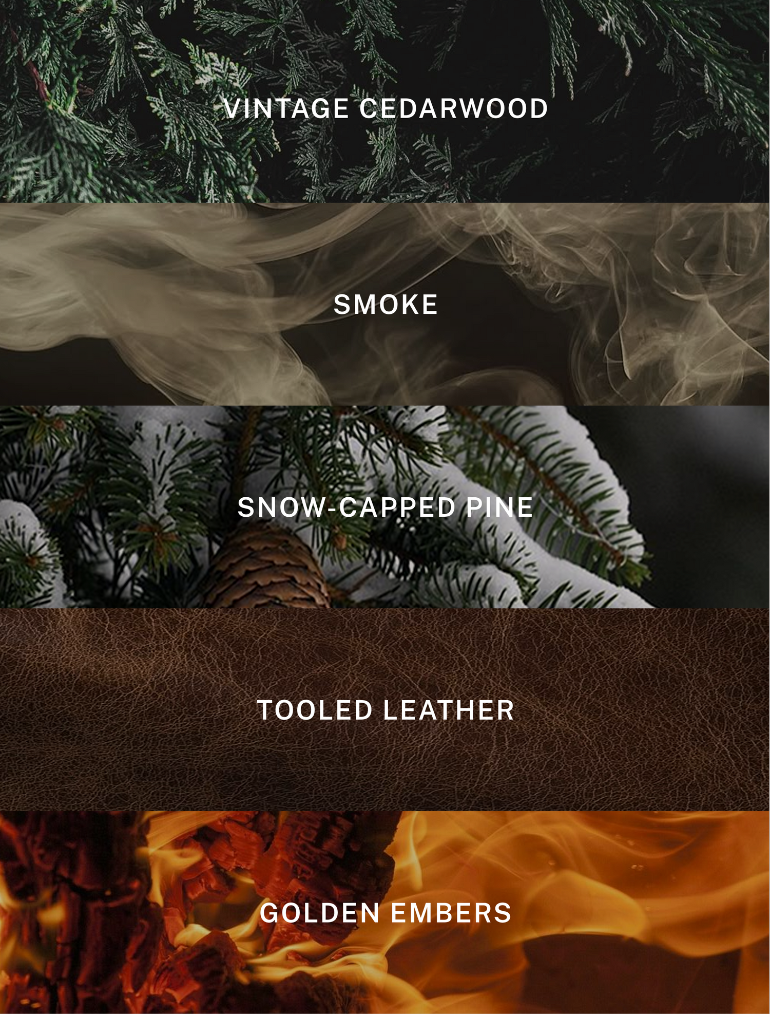 Aspen - Fall Scented Candle - 9.75 oz Soy Candle