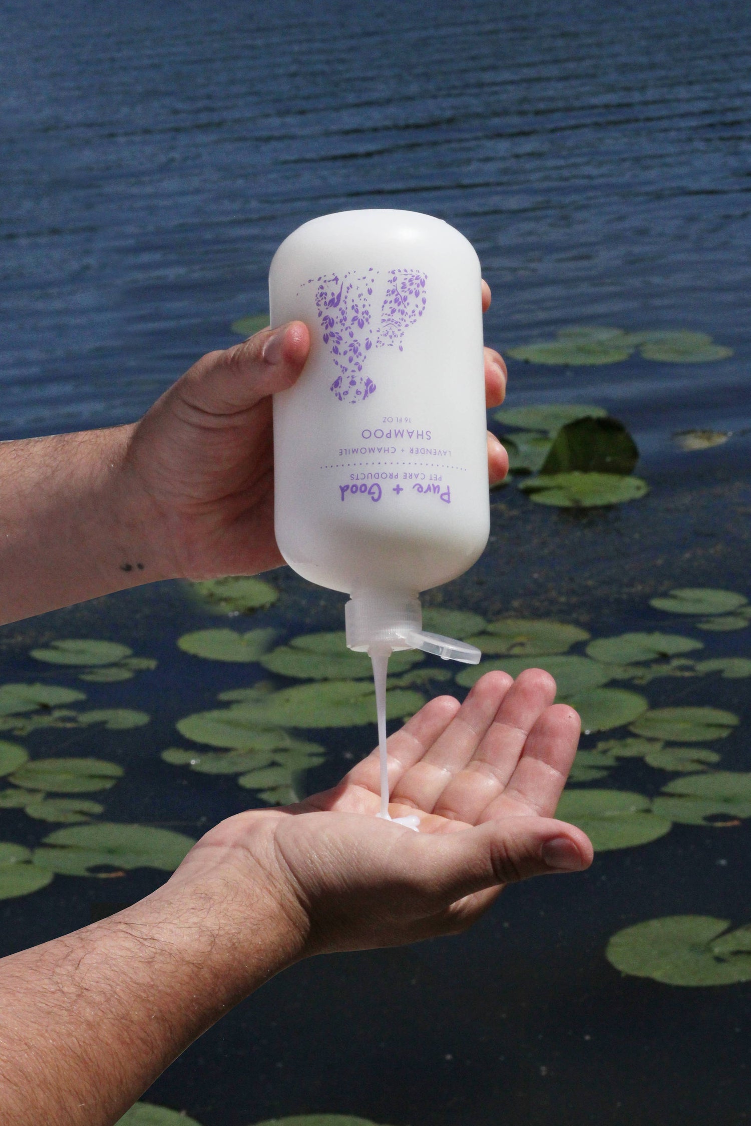 Dog &amp; Cat Shampoo: Lavender + Chamomile