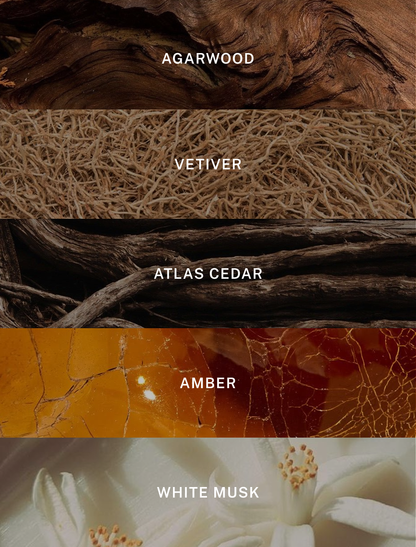 Signature - Luxury Soy Candle - 9.75 oz