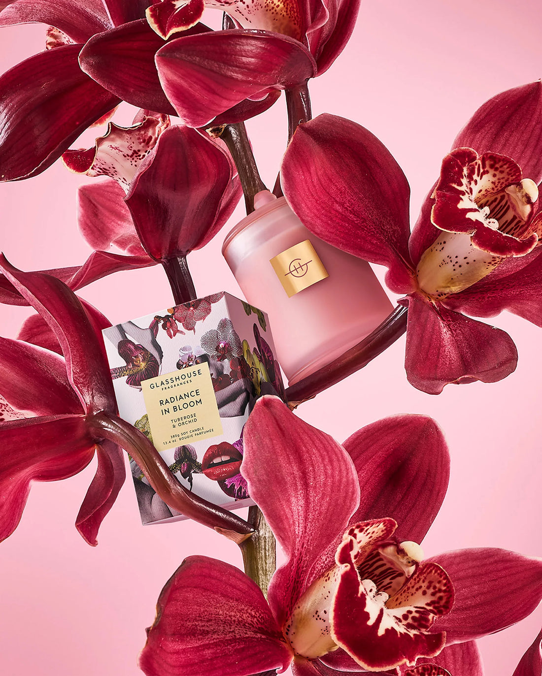 Radiance in Bloom - Limited Edition