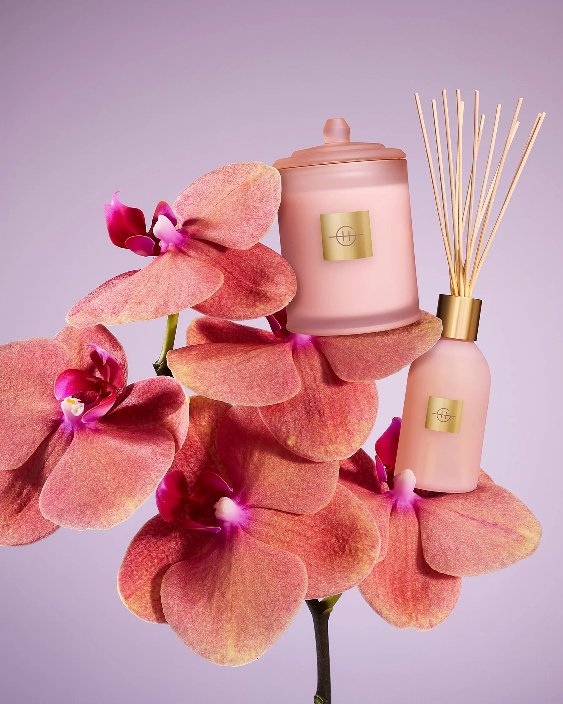 Radiance in Bloom Diffuser - Limited Edition