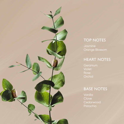 Pistachio Body Oil