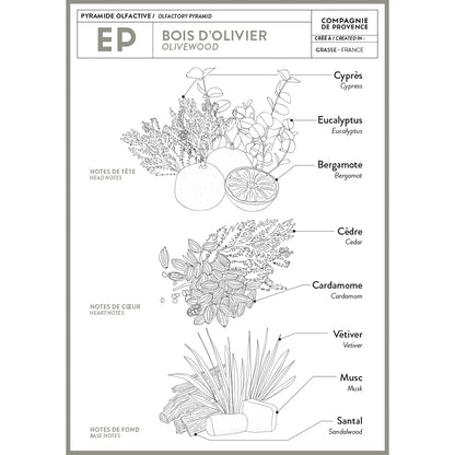 Liquid Marseille Soap - Olive Wood