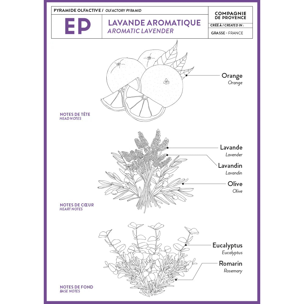 Liquid Marseille Soap - Aromatic Lavender