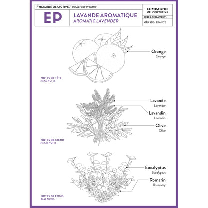 Liquid Marseille Soap - Aromatic Lavender