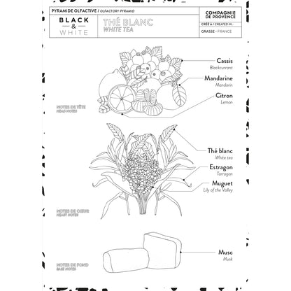Hand Cream - White Tea