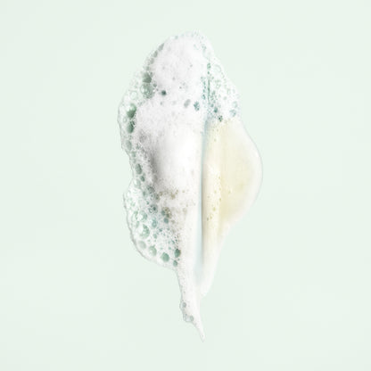 Moisture and Control Shampoo