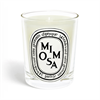 190g Scented Candle - Bougie Pafumee Mimosa