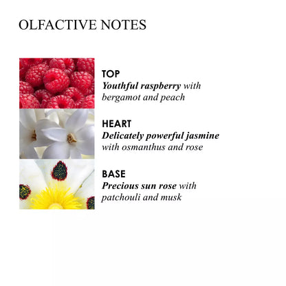 Jasmine &amp; Sun Rose Body Lotion