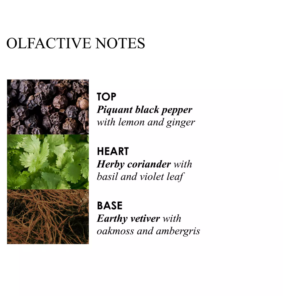 Re-charge Black Pepper Body Lotion