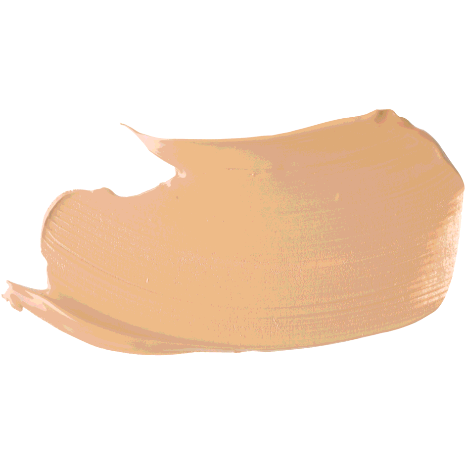 Stay All Day Foundation &amp; Concealer